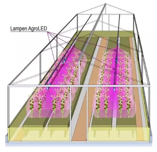 AGR100 LED Pflanzenlampe Gewächshaus Grow Growlight